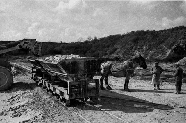 Charriage des wagonnets remplis de calcaire par le cheval